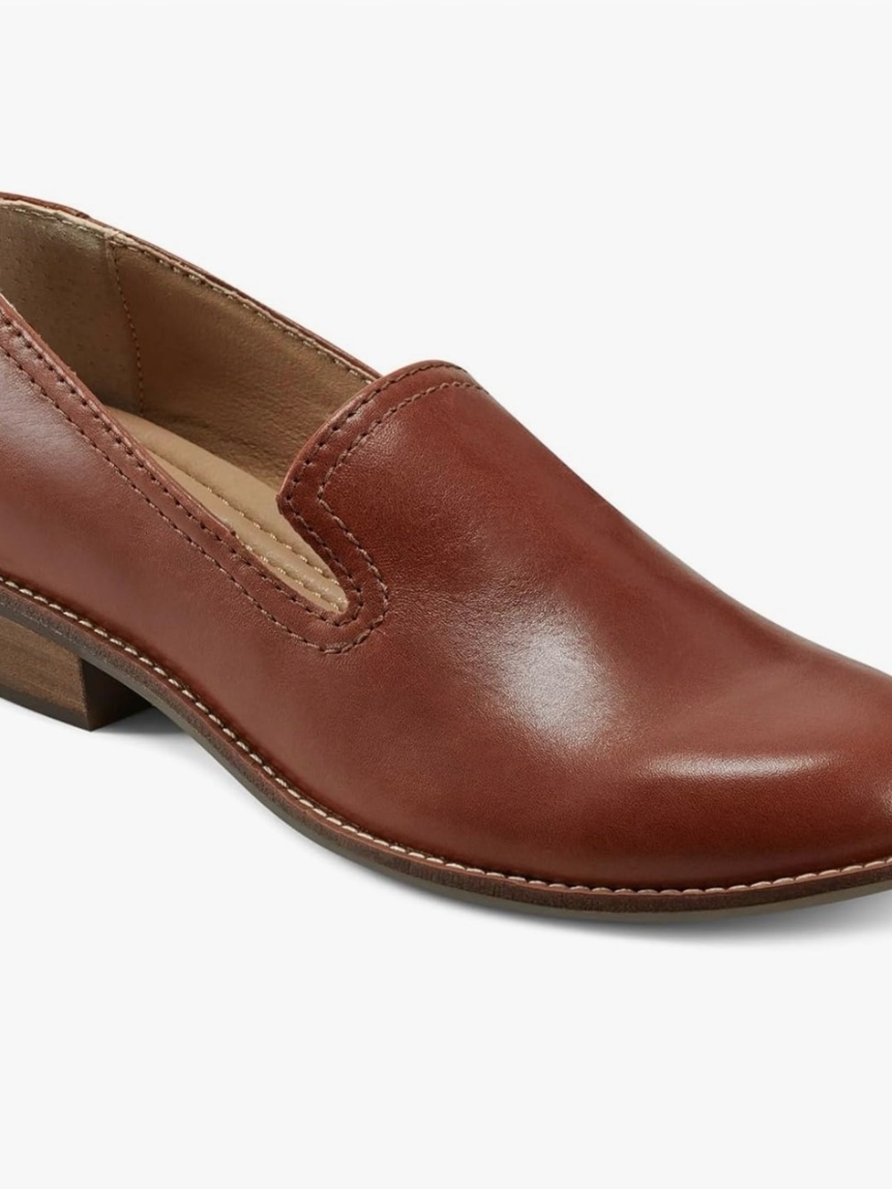 Earth Women's Leather Slip-On Loafer in Chestnut Brown